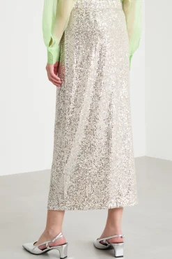 Gonna in tulle ricamato - Argento