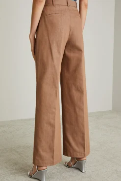 Pantaloni con pinces - Marrone