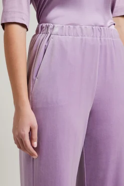 Pantaloni in jersey velluto - Lilla